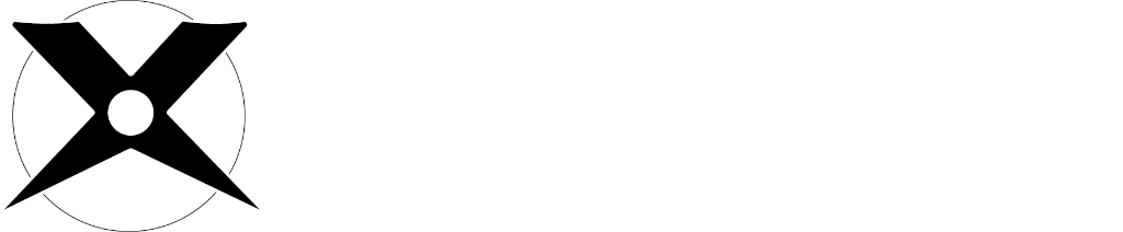 THE MULTIxVERSE